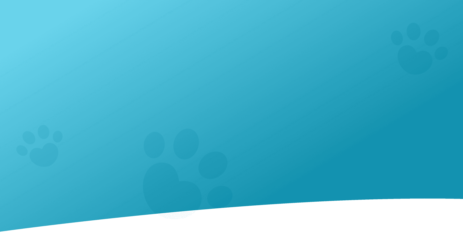 nền2 1920x984_1743164064.png
