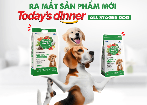 Ra mắt thức ăn hạt Today’s dinner All Stages Dog cho chó mọi lứa tuổi