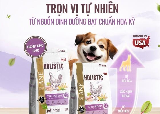 3 bí quyết chăm sóc mèo mùa nắng