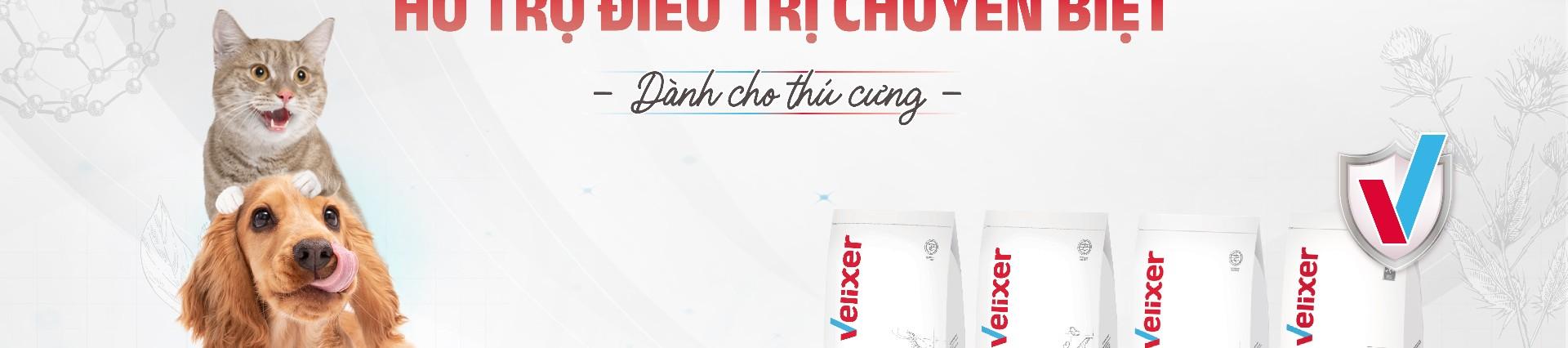 Banner background