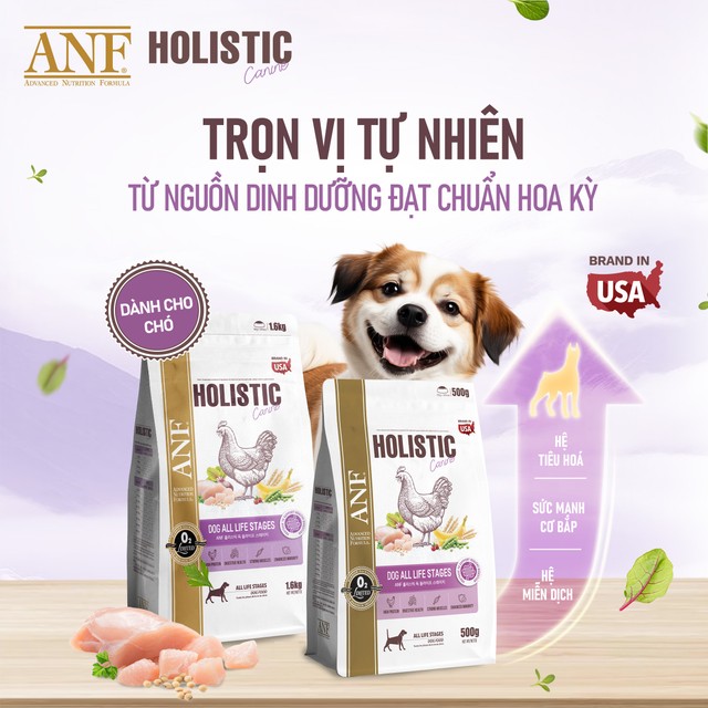 ANF Holistic - Bí quyết chăm sóc cún cưng từ nguồn dinh dưỡng chuẩn Âu