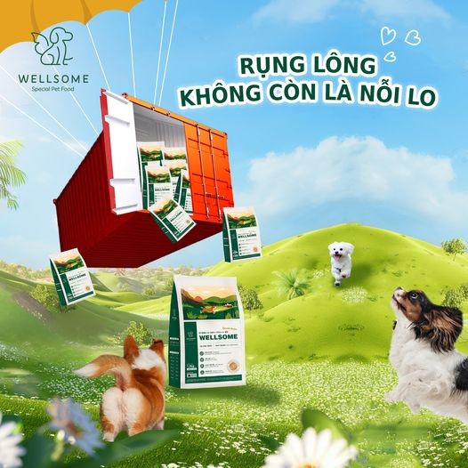 Dị ứng ở chó là gì?