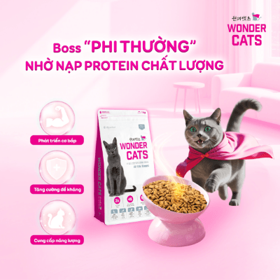 Giải mã bảng thành phần thức ăn hạt cho mèo cùng Wonder Cats